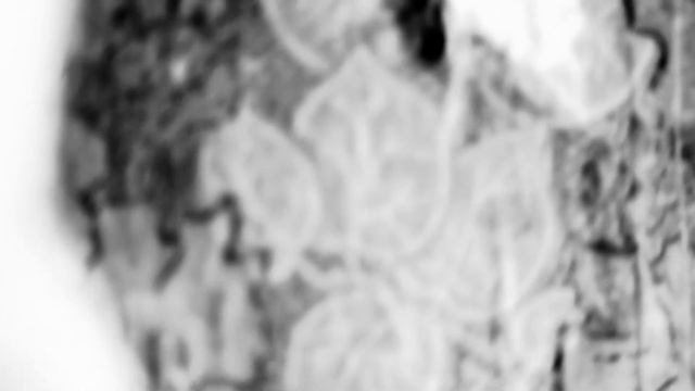 Макулатура Нейт_ Диаз смотреть онлайн