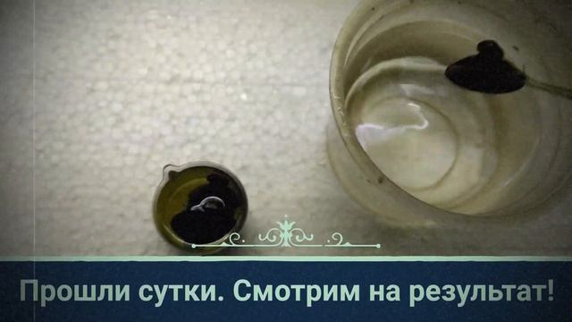 Как сделать присоски снова мягкими? смотреть онлайн