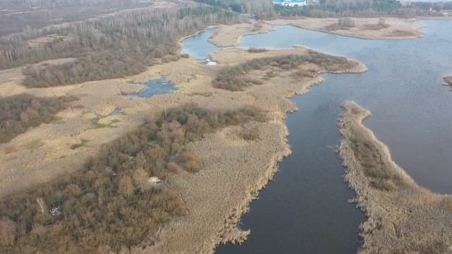 Полесье в начале января смотреть онлайн