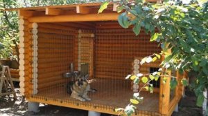 Вольер для собаки своими руками - идеи и примеры