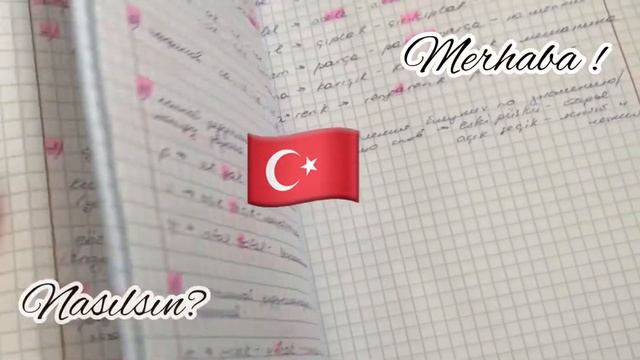 ? Один День из Жизни Магистранта Факультета Международных Отношений СПБГУ | SPBU смотреть онлайн