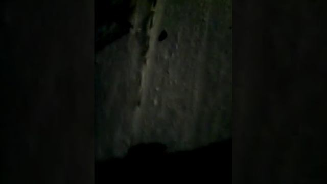 2 способа подбросить шайбу смотреть онлайн