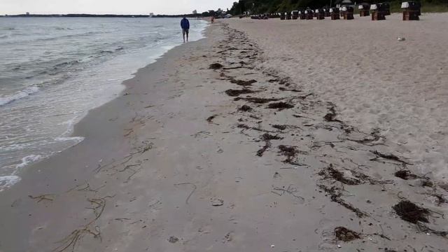 Балтийское море,немного о грустном смотреть онлайн