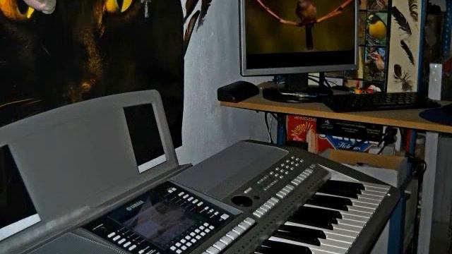 Get me some help -Yamaha PSR-S710 смотреть онлайн