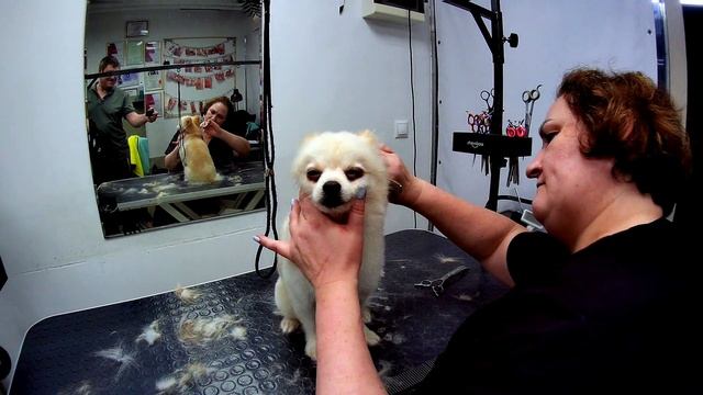 Комплексный уход. смотреть онлайн