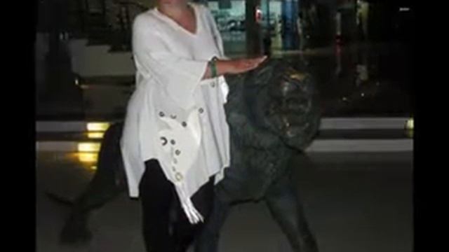 ОТДЫХ В ЕГИПТЕ смотреть онлайн