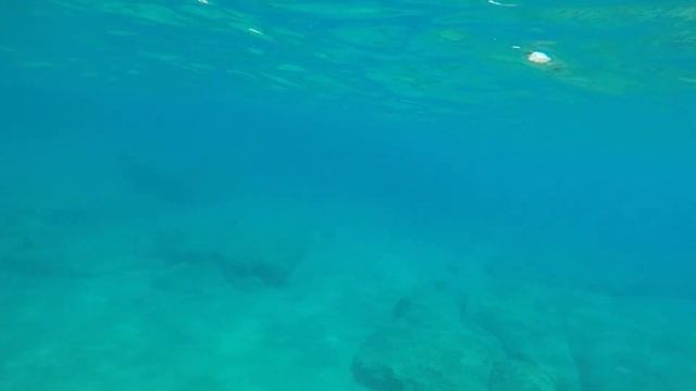 Snorkeling. Underwater Cyprus. Protaras.Pernera Bay.- Пiдводний свiт Кіпру.Протарас.Пляж Пернера. смотреть онлайн