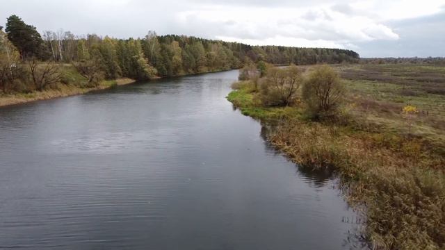 Река Су́дость, Брянская область, аэросъёмка смотреть онлайн