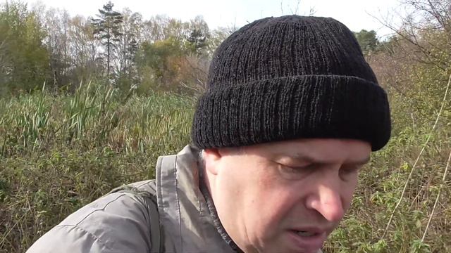 Человек пришёл в лес и на болото смотреть онлайн