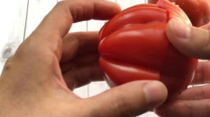 Томат Пузата хата - 5 достоинств и 1 недостаток. Урожайный сорт.