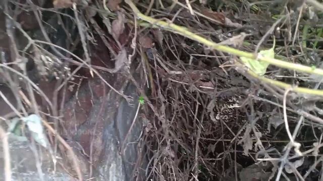 FASAD MAKAM BELANDA BERWARNA HITAM‼️KERKHOFF-TEGAL смотреть онлайн