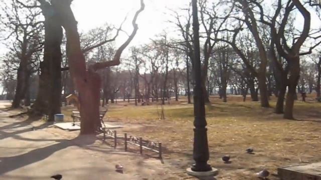 КОГДА ВЕРНЁТСЯ НА ЮТУБ САМВЕЛ АДАМЯН. СЫРНЫЕ КОНИКИ ГРАНДЕНИКО смотреть онлайн