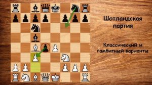 Шахматы уроки. Шотландская партия за белых и черных!