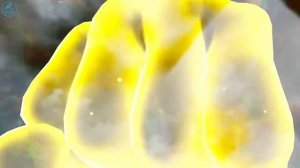 Почтенный мастер всех миров (Владыка множества миров) - 206 серия