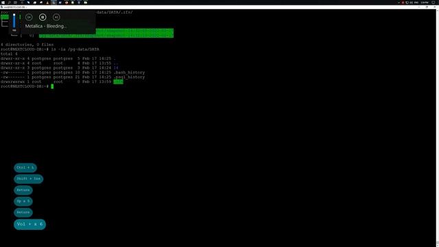 Использование снимков ZFS [ ZFS Snapshots ] | Ubuntu Server 20.04 смотреть онлайн