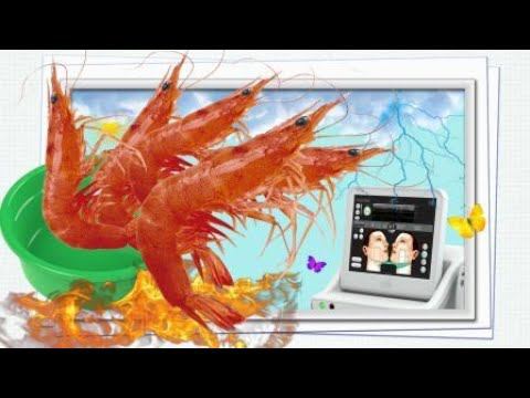 Хуньчунь / Зачётная креветочная / Альтера Систем / Китайские зарисовки / 21.03.2024