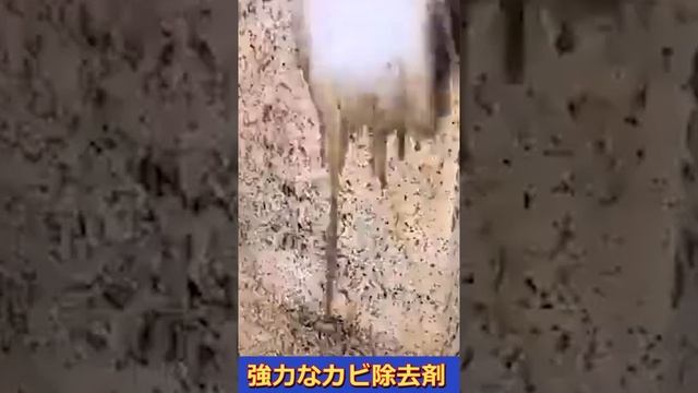 Mould removal spray смотреть онлайн