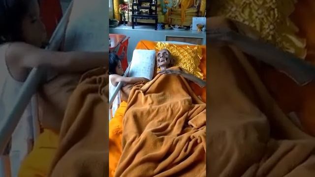 Последние дни умирающей бабушки смотреть онлайн