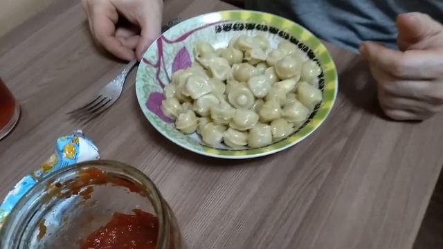 Животные в Зоопарках