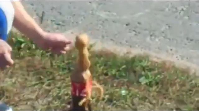 Неудачный експеремент с колой и ментосом Смотри Ржач смотреть онлайн