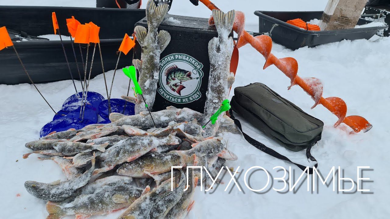 ГЛУХОЗИМЬЕ ⁉️ ТРУДОВАЯ РЫБАЛКА #зимняярыбалка #щука #окунь #блеснагвоздь #глухозимье смотреть онлайн