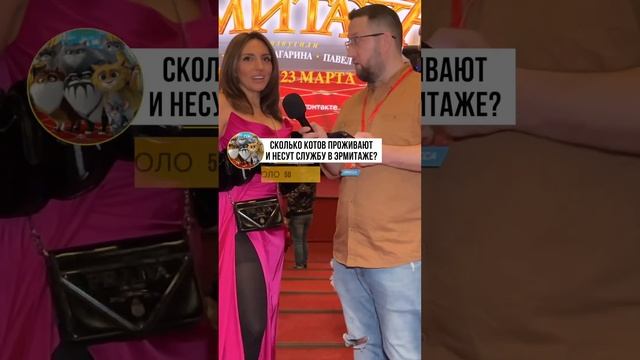 Школьные вопросы прохожим. Коты Эрмитажа мультик. Сколько котов проживают и несут службу в Эрмитаже смотреть онлайн