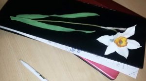 Отзыв Евгении Третьяковой о Флешмобе Марины Хвалёвой