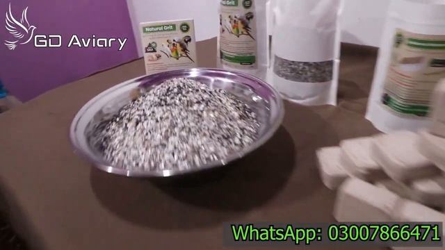 Finches complete information. Canary, Java, Finch business idea. смотреть онлайн