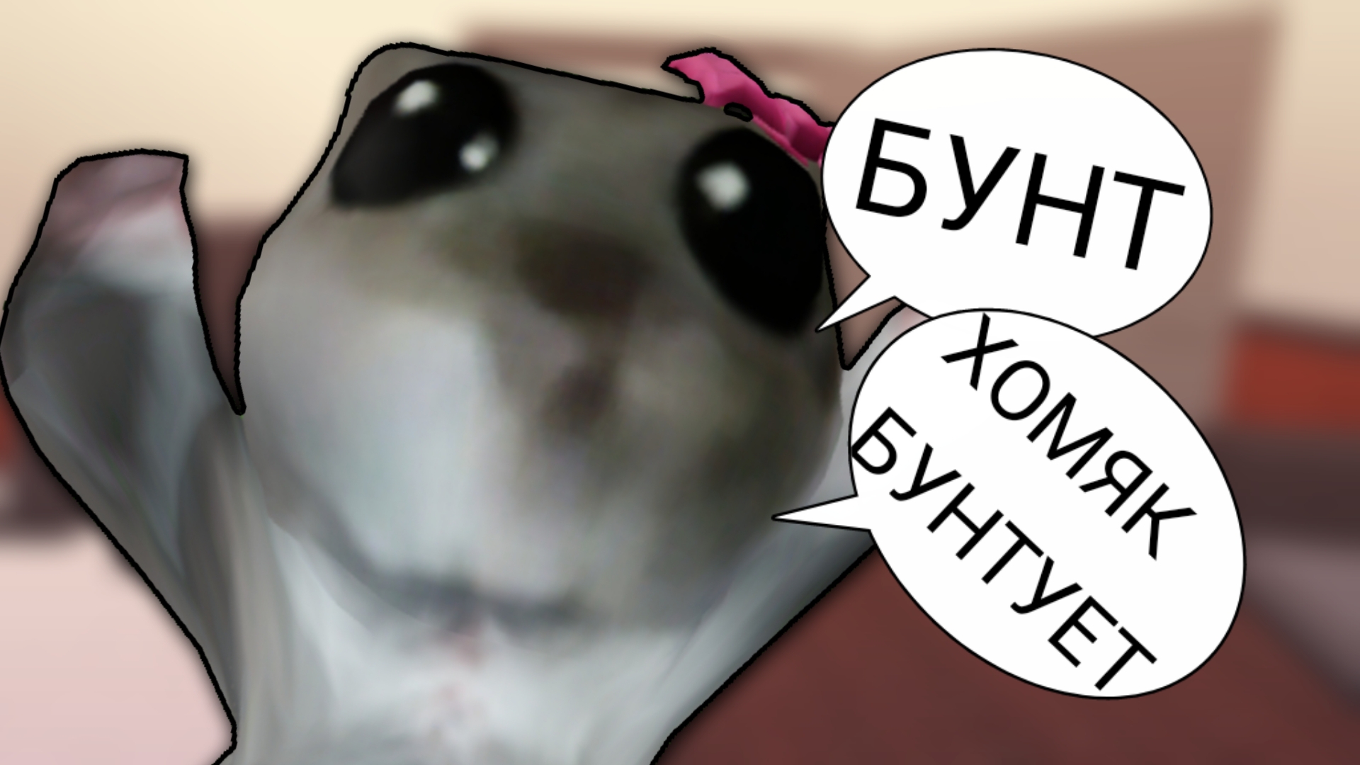 🐹 || ММ2, НО Я В СКИНЕ ХОМЯКА*игнорирую подписчицу?..