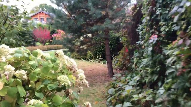 Шульгино дом в английском стиле смотреть онлайн