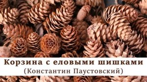 Корзина с еловыми шишками | Константин Паустовский | Аудиокнига