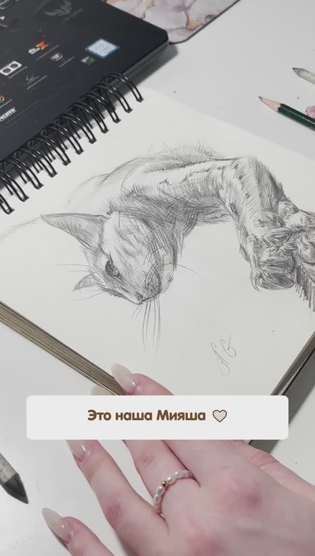 РИСУЮ СВОЮ КОШКУ МИЯШУ