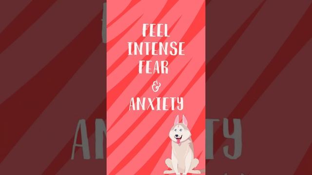 Cynophobia - Fear of Dogs !! смотреть онлайн