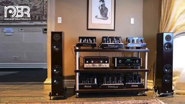 Very Best Of Audiophile Voices 2023 - Audiophile Remaster - Audiophile NBR Music