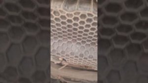 Skoda Octavia A7 - замена радиатора кондиционера