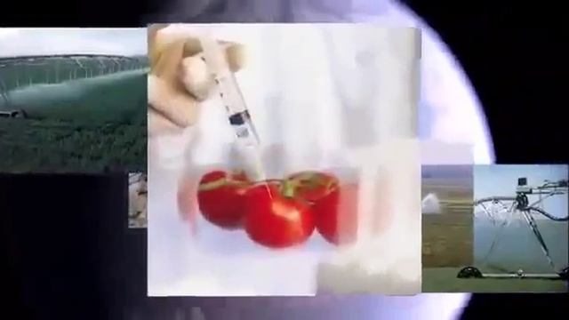 Виды_вреда_здоровью__В_каком_мире_мы_живем_.MP4