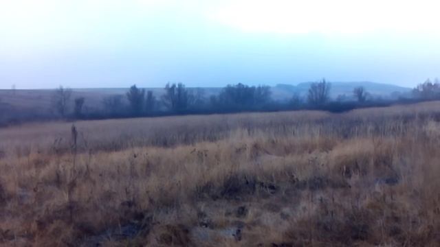 Охота на кабана или как гончие работают по камышу смотреть онлайн