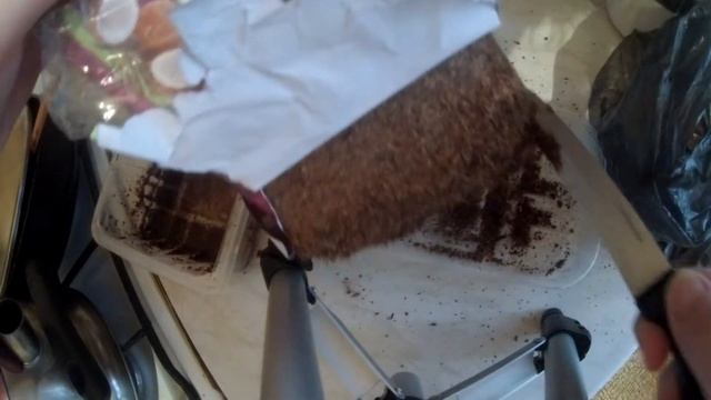 Инкубация яиц улиток ахатин. Вылупление молодняка смотреть онлайн