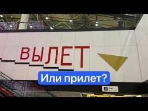 AlMasria Airlines - ужас и страх?
#топыкатегорий