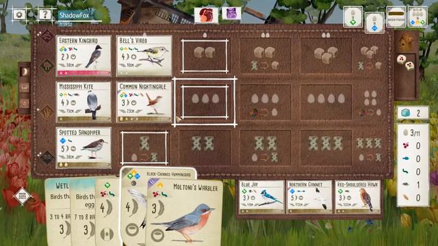 The Final Match!!! Wingspan Tournament / Board Game Gameplay смотреть онлайн