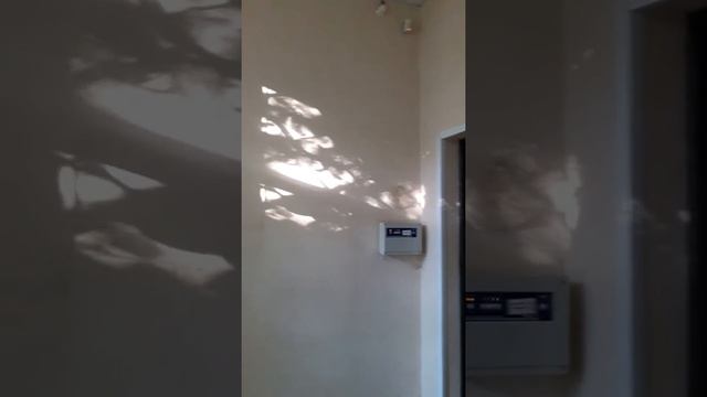 Аренда офиса в Тольятти смотреть онлайн