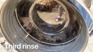 Stress test: HEAVIER carpet VS Miele washing machine