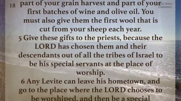 Holy Bible Audio: DEUTERONOMY 1 to 34 - With Text (Contemporary English)