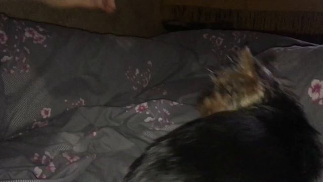 Пошёл на место, Рич!!! I went to the place смотреть онлайн