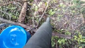 ГЛОБАЛЬНОЕ преображение ЗАРОСШЕЙ ДАЧИ! Приехали работать на (заброшенную) дачу!