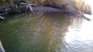 ЛОВЛЯ ОКУНЯ В ЛОМОВОМ КОРЯЖНИКЕ  | Рыбалка в отвес |Ловля на отводной!