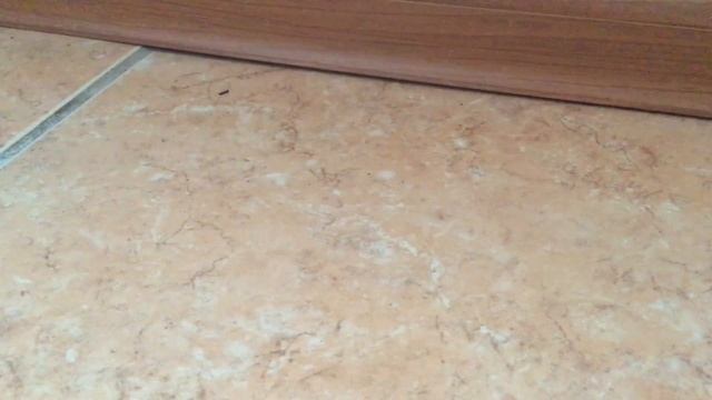 Мои модели HummerH3,Volkswagen Beetle,Shelby GT500,Lexus Ls300,Volvo C70………