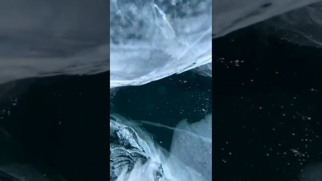 1000006655.mp4 смотреть онлайн