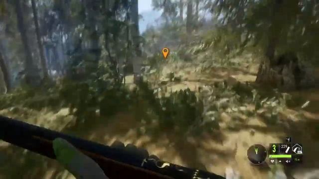 TheHunter Call of The Wild Thanksgiving Turkey Hunt смотреть онлайн