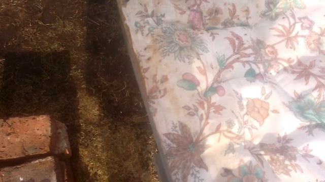 подкормка медовой сытой-1 к 1.тоесть дать воды пчёлам.